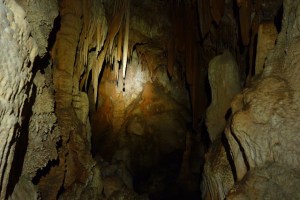 Cueva Acederal Enero 2011 191
